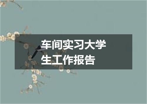 车间实习大学生工作报告