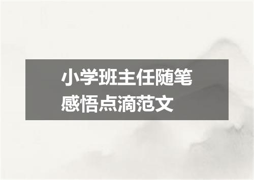 小学班主任随笔感悟点滴范文