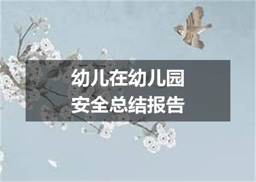 幼儿在幼儿园安全总结报告