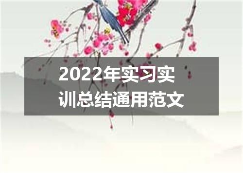 2022年实习实训总结通用范文