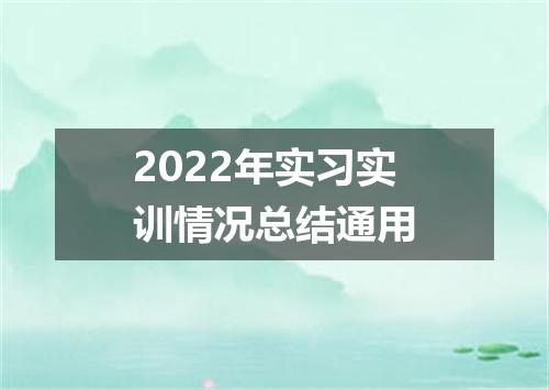2022年实习实训情况总结通用