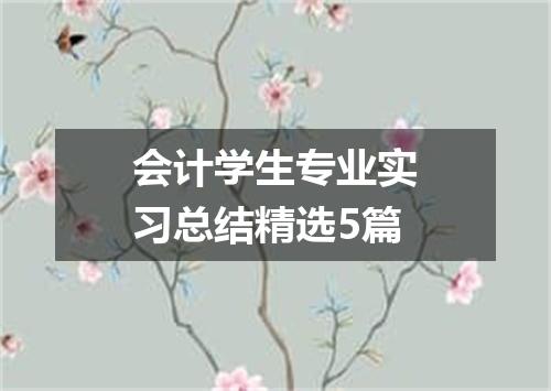 会计学生专业实习总结精选5篇