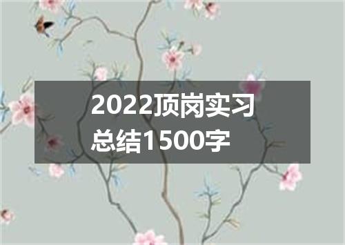 2022顶岗实习总结1500字