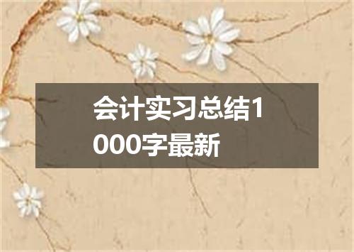 会计实习总结1000字最新