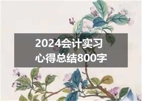 2024会计实习心得总结800字