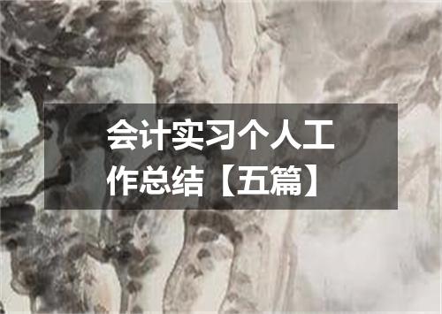 会计实习个人工作总结【五篇】