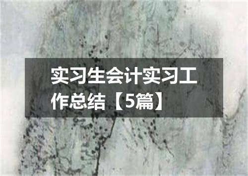 实习生会计实习工作总结【5篇】