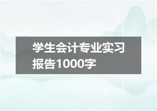 学生会计专业实习报告1000字
