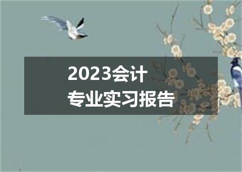 2023会计专业实习报告