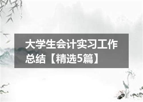 大学生会计实习工作总结【精选5篇】