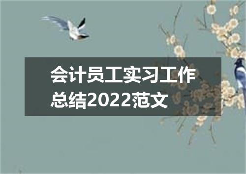会计员工实习工作总结2022范文