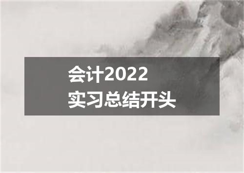 会计2022实习总结开头