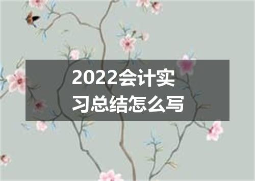 2022会计实习总结怎么写