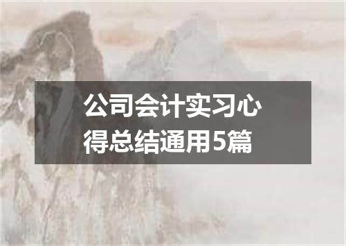 公司会计实习心得总结通用5篇