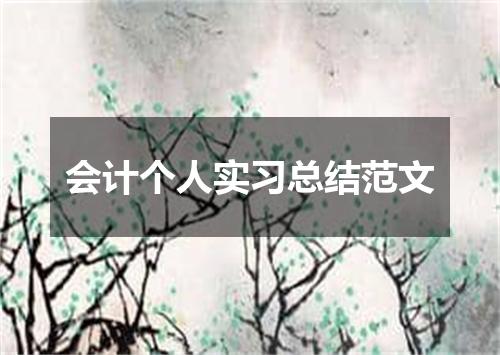 会计个人实习总结范文