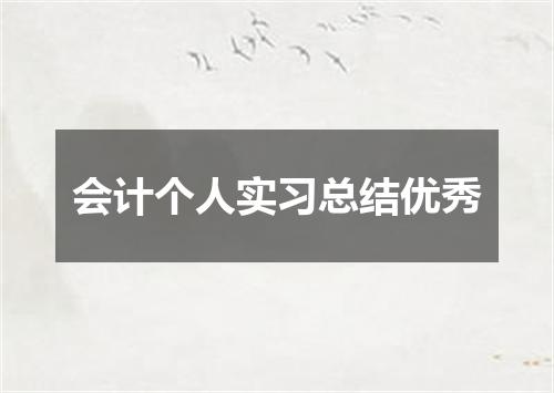 会计个人实习总结优秀