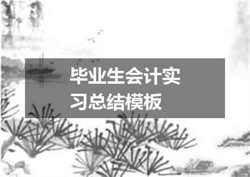 毕业生会计实习总结模板
