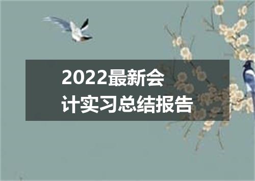 2022最新会计实习总结报告