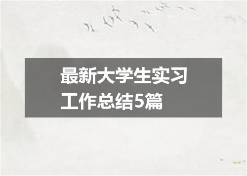 最新大学生实习工作总结5篇