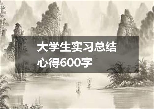 大学生实习总结心得600字