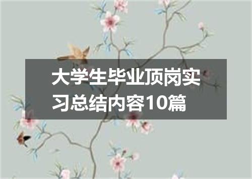 大学生毕业顶岗实习总结内容10篇