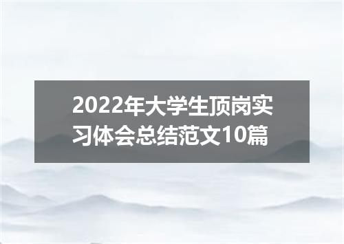 2022年大学生顶岗实习体会总结范文10篇