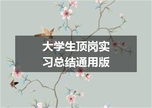 大学生顶岗实习总结通用版