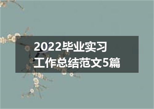 2022毕业实习工作总结范文5篇