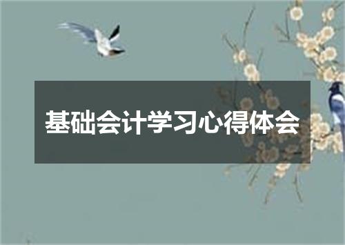 基础会计学习心得体会