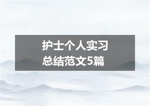 护士个人实习总结范文5篇