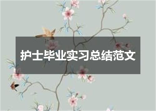 护士毕业实习总结范文