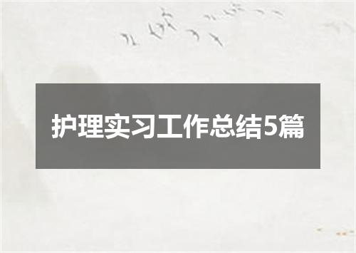 护理实习工作总结5篇
