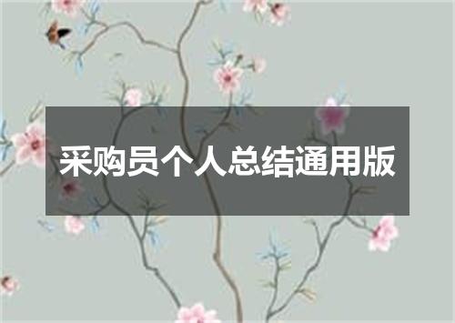 采购员个人总结通用版