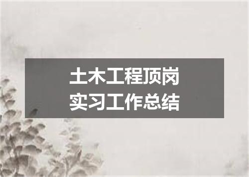 土木工程顶岗实习工作总结