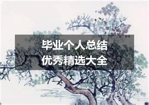 毕业个人总结优秀精选大全