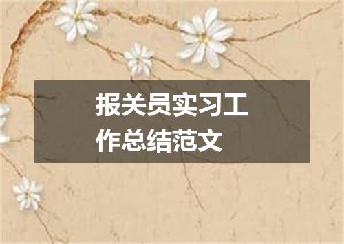 报关员实习工作总结范文