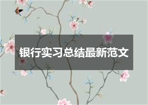 银行实习总结最新范文