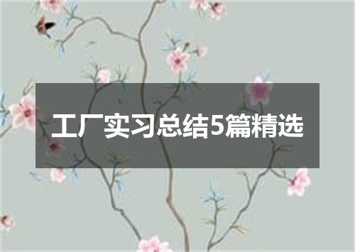 工厂实习总结5篇精选
