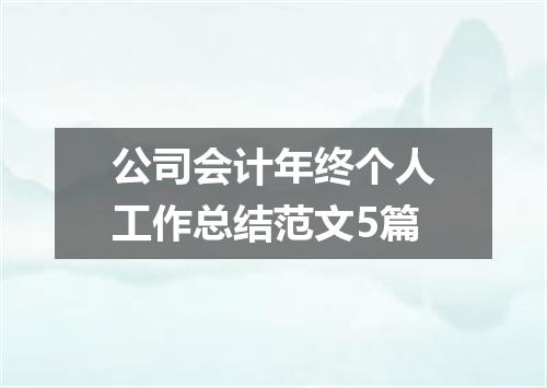 公司会计年终个人工作总结范文5篇