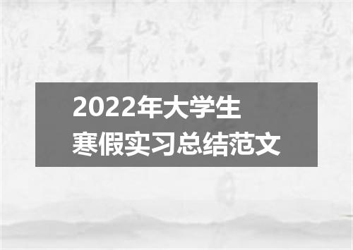 2022年大学生寒假实习总结范文