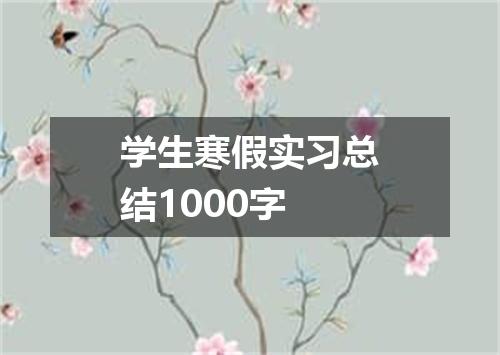 学生寒假实习总结1000字