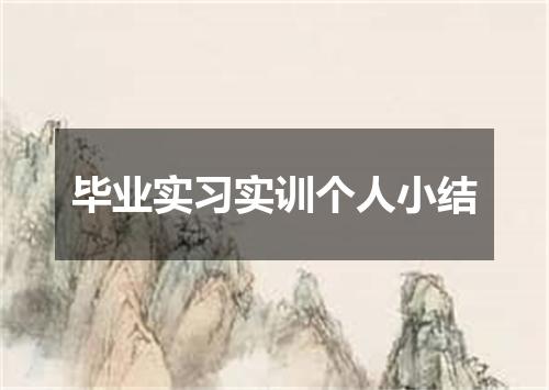 毕业实习实训个人小结