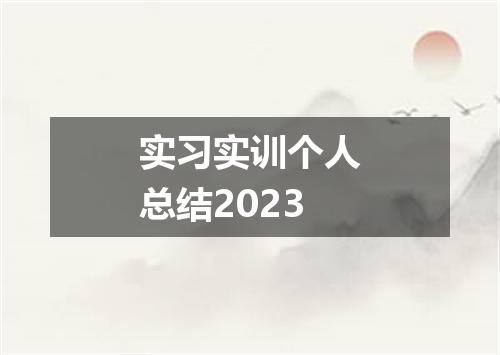 实习实训个人总结2023