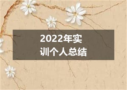 2022年实训个人总结