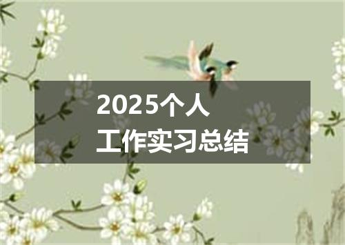 2025个人工作实习总结