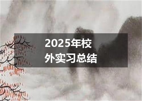 2025年校外实习总结