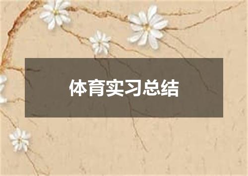 体育实习总结