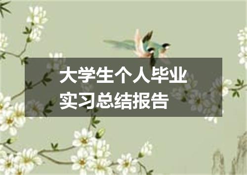 大学生个人毕业实习总结报告