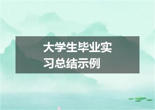 大学生毕业实习总结示例