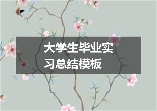 大学生毕业实习总结模板